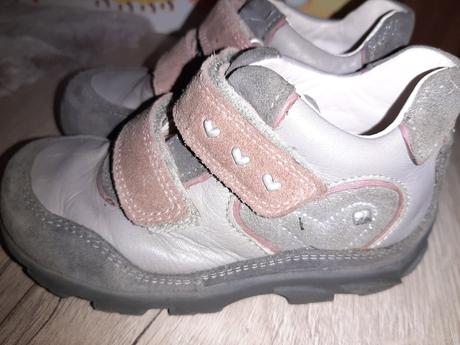 Celokožené elefanten, elefanten,24