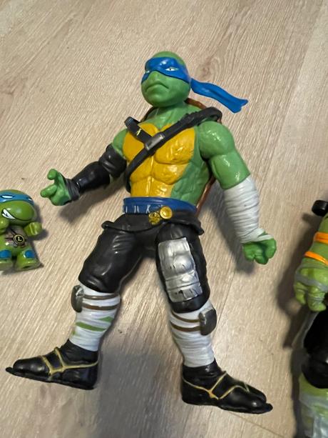 Korytnacka leonardo, 