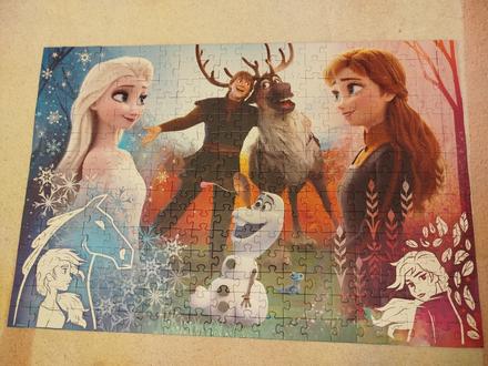 Puzzle frozen,