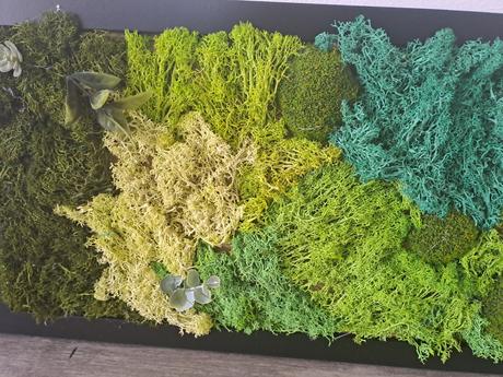 Machový obraz,  živý, 