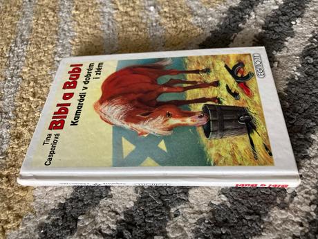 Bibi a bubi. kamarádi v dobrém i zlém (1993),