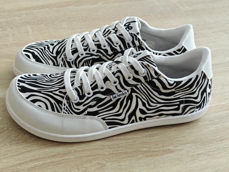 Rebound - zebra 41 y205, be lenka,41