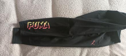 Legíny puma, puma,l