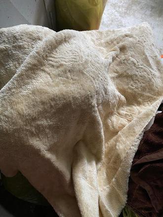 Béžová prikrývka, 