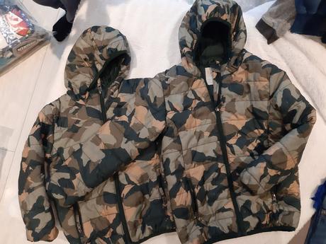 Bundy surodenecke, 104