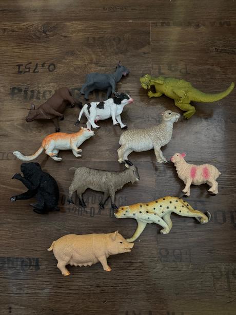 11ks rôzne zvieratká, 