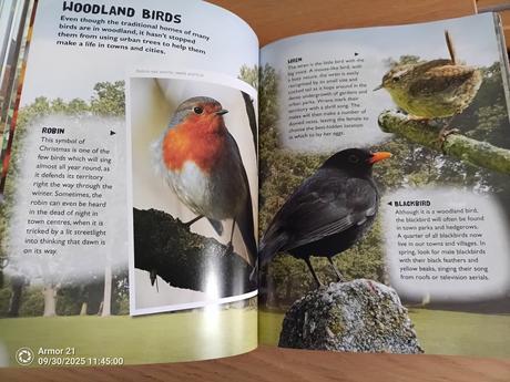 Mike dilger wild town. paperback, 7,