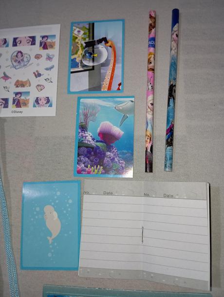 Frozen ľadové kráľovstvo vrecko, ceruzky peračník, 