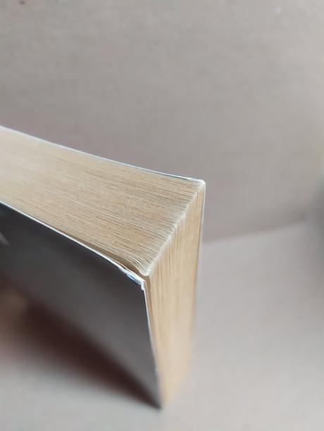 Dvojí život, janet chapmanová,