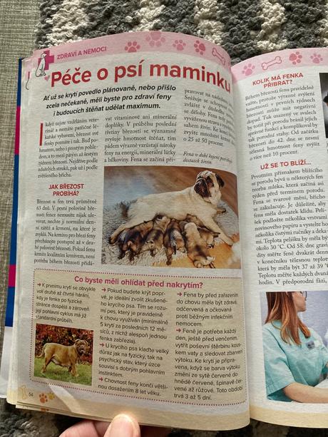 425 skvělých tipů, jak si vybrat nejlepšího pejska, 