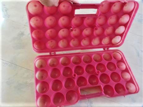 Prepravka na vajíčka / 30 vajec, 