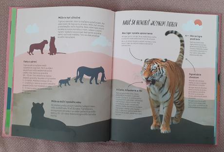 Stretnutie s tigrom - ikea, 