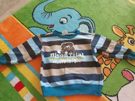 Mikina, topolino,116