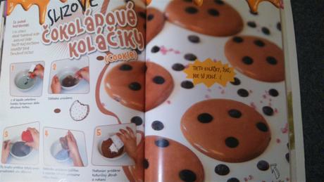 Knizka vyroba slizu, 