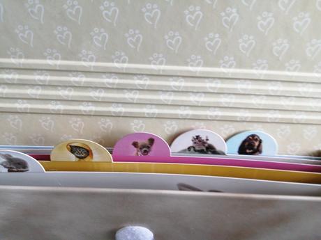 Mam na predaj zakladac,