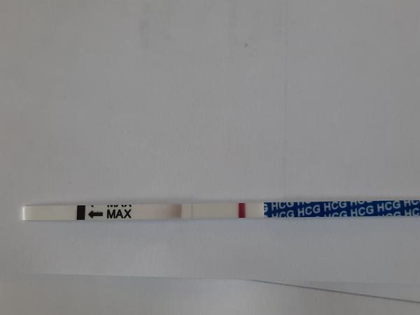 Test padnutý do moču