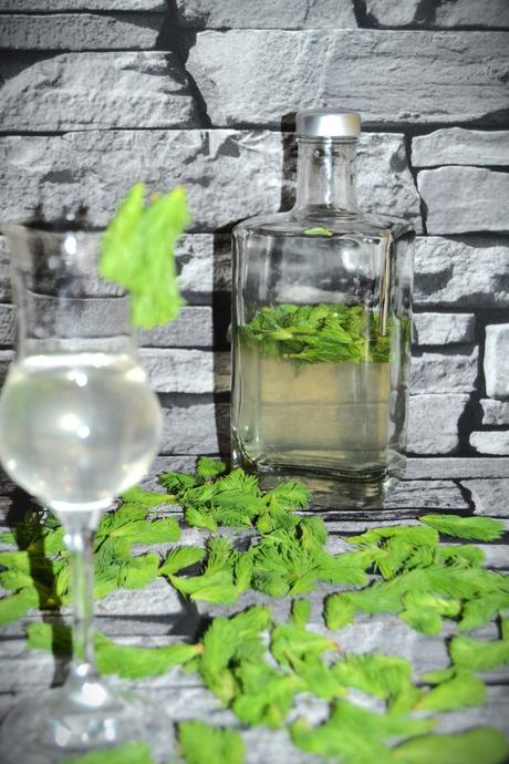 Smrekový lahodný nápoj - zdravotný "štamprlík",