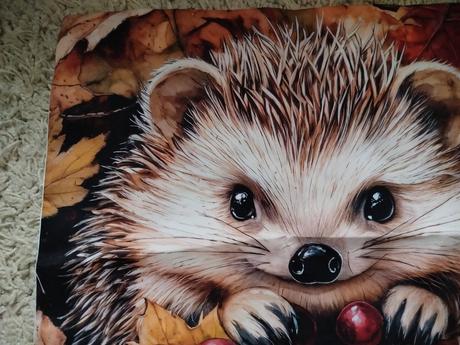 Obliečka na vankúš 45x45cm, šírka (cm): 45,dĺžka (cm): 40