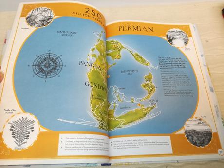 Martin ince drift nsp21, 