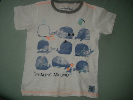 Kompletik next, 104–116