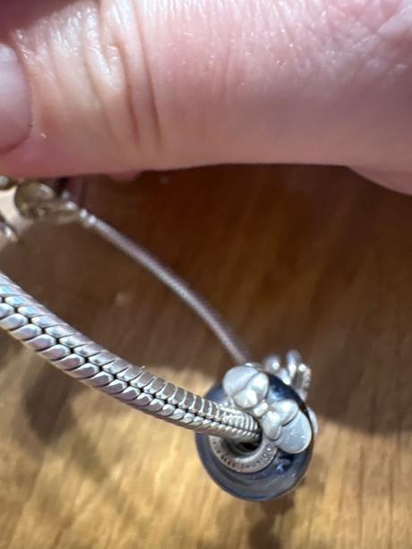 Pandora náramok, pandora