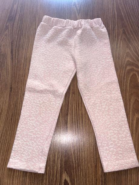 Leginy mayoral, mayoral,92