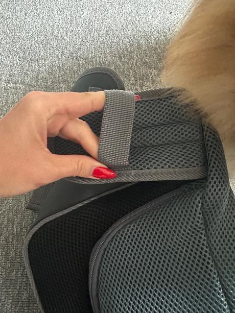 Taška pre malého psíka, 