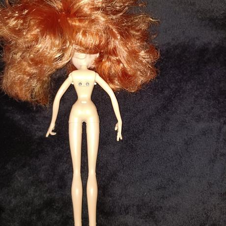 Bábika winx,