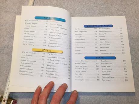 World of animals au22,