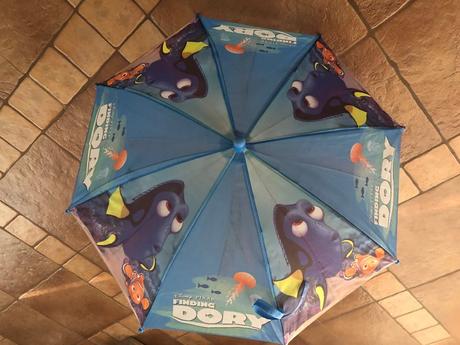 Dory dazdnik,