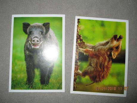 Nálepky jednota - zvieratká slovenska, 