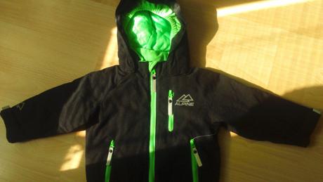 Alpine bundička lindex, lindex,86