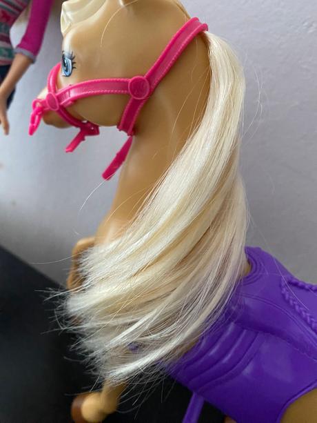 Barbie a koník, 