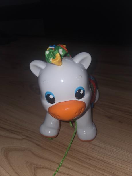 Hrací koník,