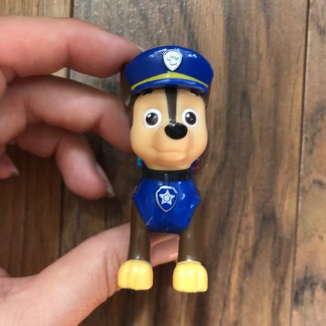 Labkova patrola - zakladne vozidlo chase,