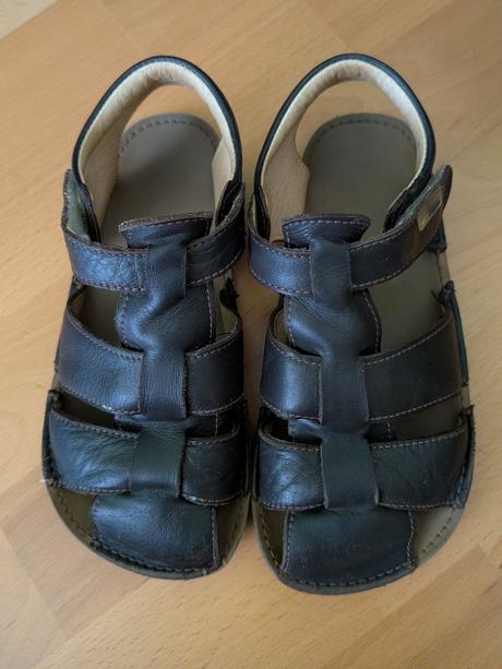 Tikki lasta 31, tikki,31