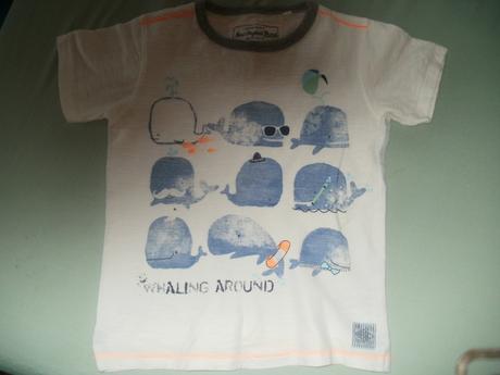 Kompletik next, 104–116