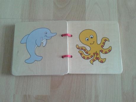 Drevená knižočka, 