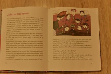 Kniha "dokonalá klára", 