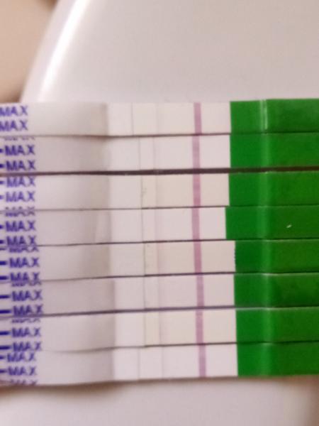 Ovulačné testy Dr. Max