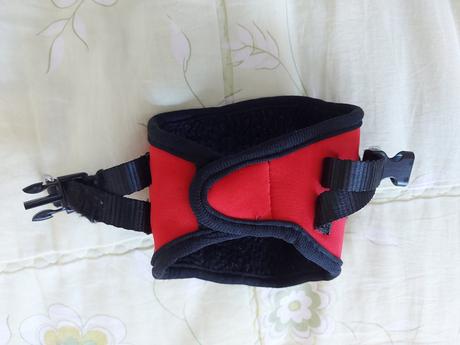 Postroj pre šteniatko xs, 