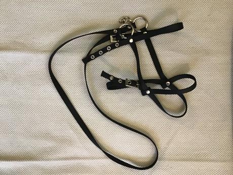 Hobby horse,