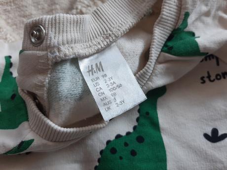 Pulóver s dinosaurami h&m, h&m,98