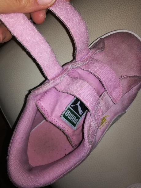 Puma topanky, puma,31