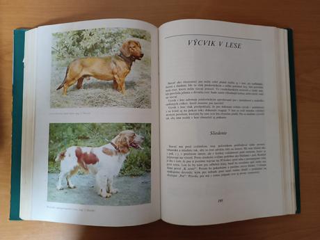 K.slimák, j.duchaj - poľovnícke psy (1982), 