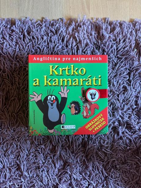 Obrázkový anglický slovník s pexesom,