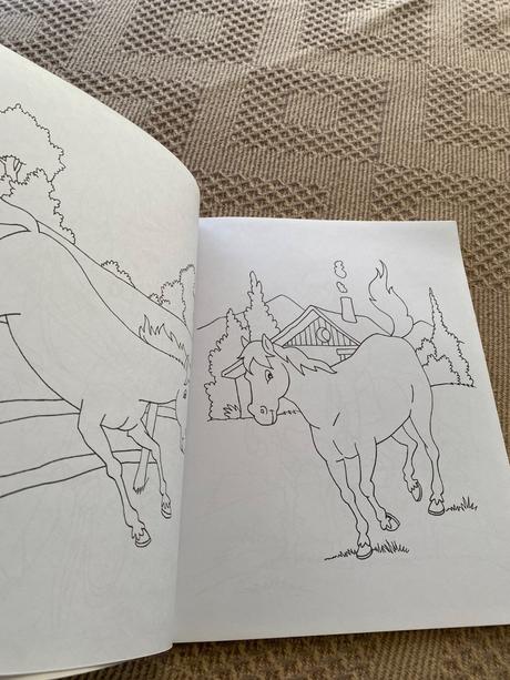 Omaľovánky kone kôň veľký formát veľké obrázky,