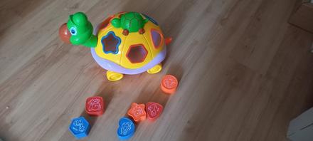 Korytnačka vkladacka, 