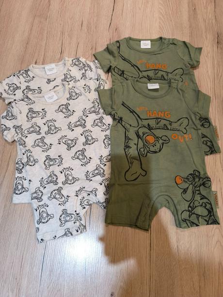 Opalovačky s motívom tigra, 62