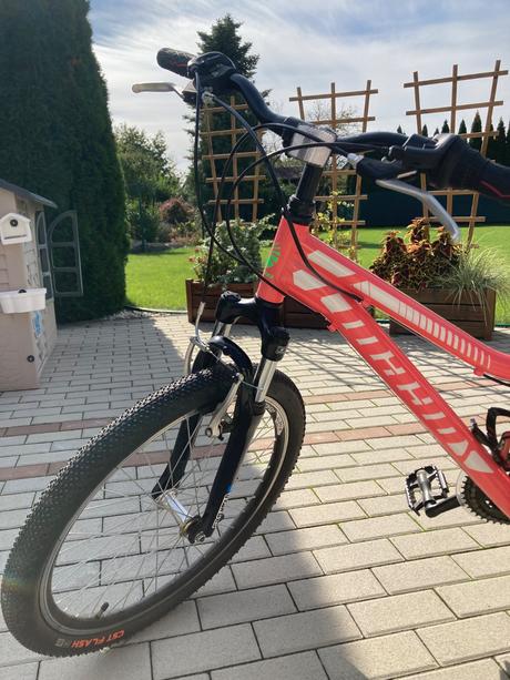 Bicykel mayo 24 basic v, 24